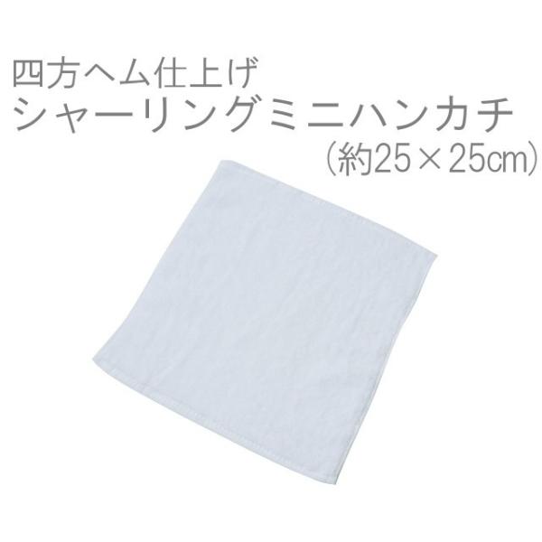 y[֐pzӂӂClwV[O~jnJ`E(25×25cm) TK458-m