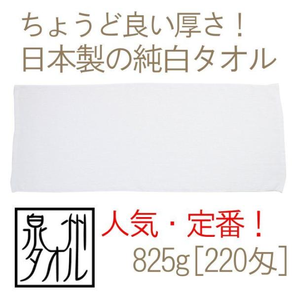 ^I {tFCX^I(825g[220]) 34cm82`88cm  B^I Y  p ei  Vv ƒp Ɩp g₷ TK47