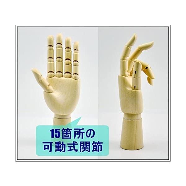 木製 デッサン ハンド モデル 手 ポーズ 人形 参考デッサンカット付き 人体 模型 クロッキー 素描 マネキン トルソー イラスト 漫画 用 Apaproduction Fr