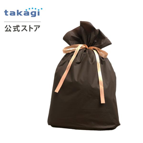 takagi-official_cgw001