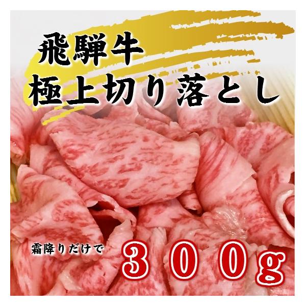 ˋ ~ ؂藎Ƃ 300g  јa 킯 XCX  uߕ u J[ ϕ uh