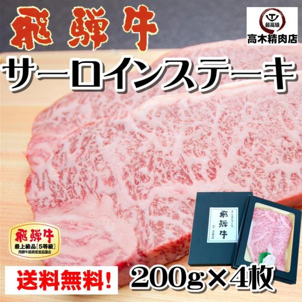 ˋ T[C Xe[L 200g×4 A5 ϔ  Mtg a јa Xe[L   ē j j LO Ε