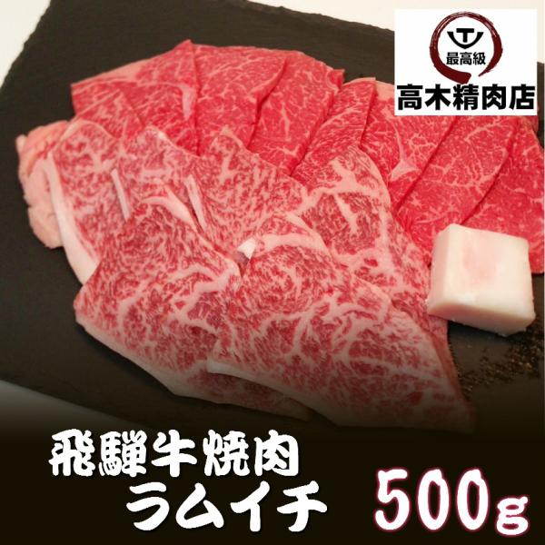 ˋ C` ē 500g Ԑg C`{ v 򕌌  蕨 󏭕 јa  䒆 Mtg