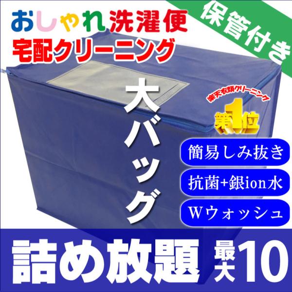 クリーニング 宅配 保管 詰め放題 10点まで 最大一年保管 衣替え 新生活 送料無料 シミ抜き  ...