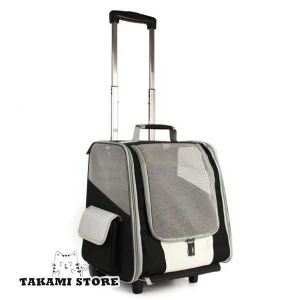 takami-store_sf0518-pet04122