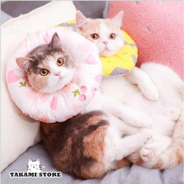 L GUxXJ[ y  Aq L  _炩 畆a p DVJ[Iׂ