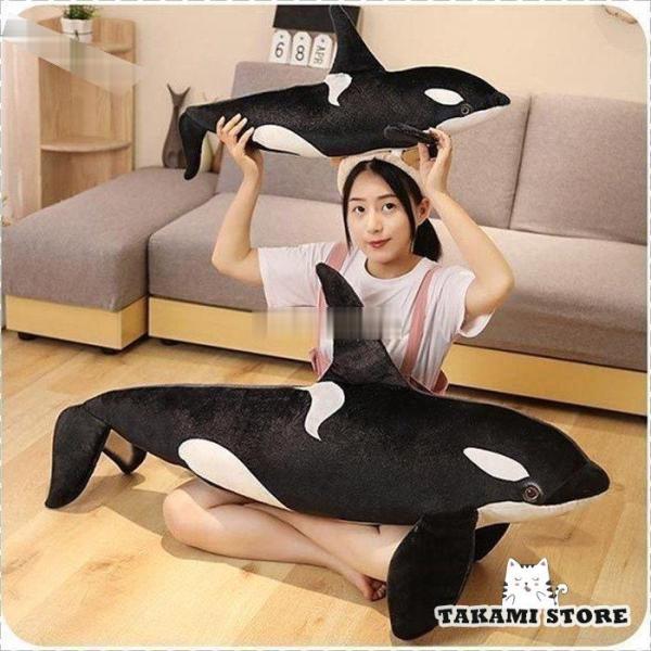 NW  V` ʂ  V`  ~  傫 킢 Cm  _炩 ӂӂ q ޏ FB j a 蕨