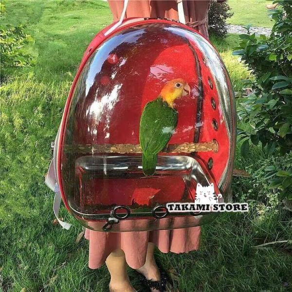 爆買 鳥用 リュック お出かけ 外出 通気 持ち運び便利 止まり木付き 組み立て簡単 ケージ バッグ インコ 鳥 かご 移動 ペット オウム 病院 旅行