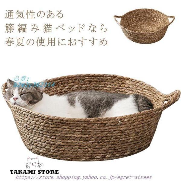 takami-store_takami0203-pet8