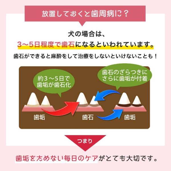 歯みがき スプレー 犬 ペット 口腔 デンタルケア 歯磨き 国産 50ml 約4か月分 Buyee Buyee 日本の通販商品 オークションの代理入札 代理購入