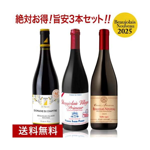 ☆ 送料無料 格上ヌーヴォー入りでこの価格 ボジョレー