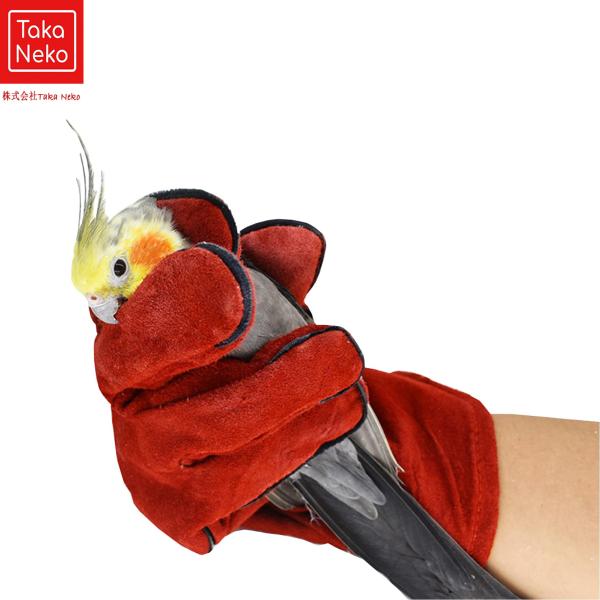 高品質の牛革を厚くした素材で、ソフトで快適、噛みつき防止、傷つき防止。通気性と指触は、フレキシブルな作業、柔らかく環境に優しい素材、ペットに無害です。クリッピング、コーミング、はさみ縫いの間に使用するのに十分な柔軟性と、ハメスターとバードの...