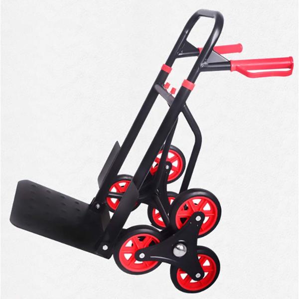 takaneko68_p210057480eca