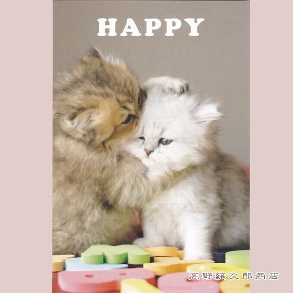 lR|XgJ[hP  HAPPY L ͂y^[pbNvX40܂ŁE^[pbNCg20܂ŁE[։10܂ŁzA