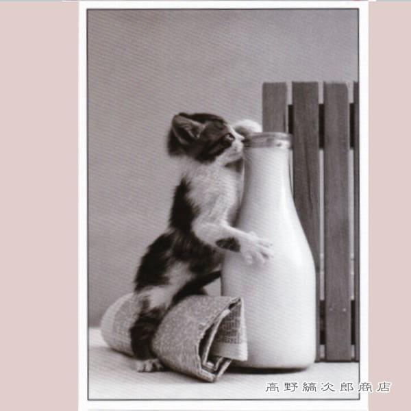 lR|XgJ[hP   L ͂y^[pbNvX40܂ŁE^[pbNCg20܂ŁE[։10܂ŁzA