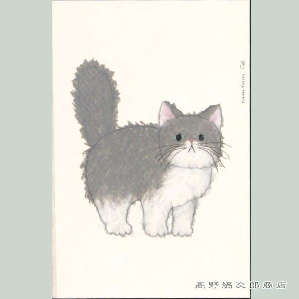 米津祐介ポストカード1枚 ハチワレネコ 猫はがき【レターパック