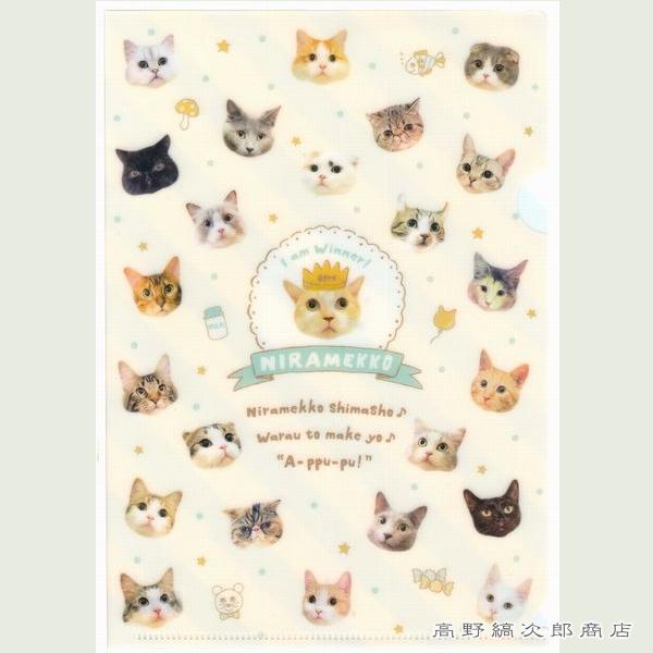 `5NAt@C NIRAMEKKO NAz_[ L G݁y^[pbNvX40E^[pbNCg20E[։10܂ŁzA