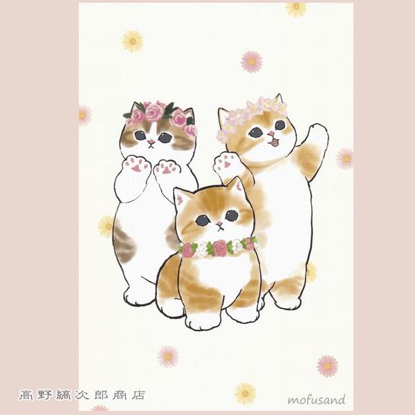 mofusandポストカード1枚 花冠 猫【レターパックプラス可40個まで