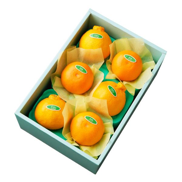 ●同梱不可商品●商品の性質上、お届けまでにお時間のかかる地域（北海道利尻郡・礼文郡、伊豆諸島青ヶ島村、小笠原諸島、島根県隠岐郡知夫村、長崎県対馬市、鹿児島県奄美市・大島郡・鹿児島郡・熊毛郡・西之表市、沖縄県石垣市・島尻郡北大東村・島尻郡久米...