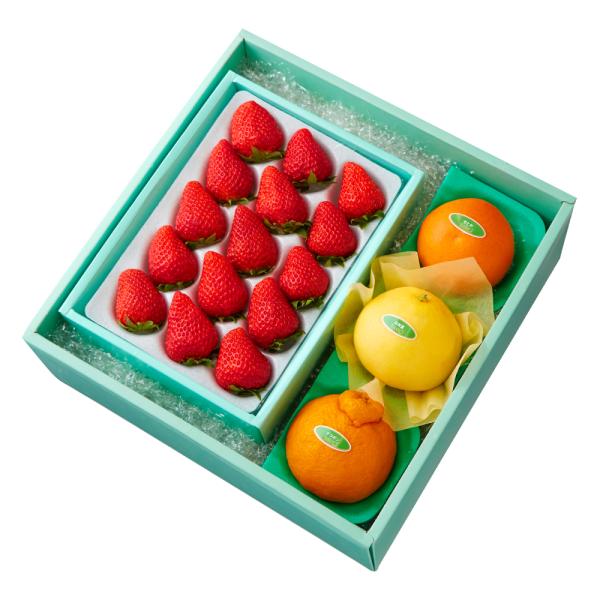 ●同梱不可商品●商品の性質上、お届けまでにお時間のかかる地域（北海道利尻郡・礼文郡、伊豆諸島青ヶ島村、小笠原諸島、島根県隠岐郡知夫村、長崎県対馬市、鹿児島県奄美市・大島郡・鹿児島郡・熊毛郡・西之表市、沖縄県石垣市・島尻郡北大東村・島尻郡久米...