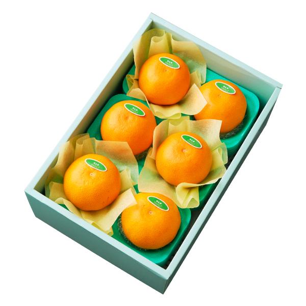 ●同梱不可商品●商品の性質上、お届けまでにお時間のかかる地域（北海道利尻郡・礼文郡、伊豆諸島青ヶ島村、小笠原諸島、島根県隠岐郡知夫村、長崎県対馬市、鹿児島県奄美市・大島郡・鹿児島郡・熊毛郡・西之表市、沖縄県石垣市・島尻郡北大東村・島尻郡久米...