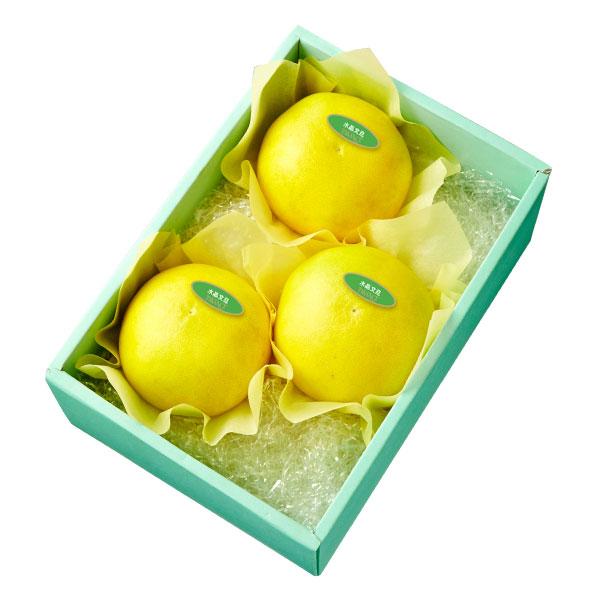 ●同梱不可商品●商品の性質上、お届けまでにお時間のかかる地域（北海道利尻郡・礼文郡、伊豆諸島青ヶ島村、小笠原諸島、島根県隠岐郡知夫村、長崎県対馬市、鹿児島県奄美市・大島郡・鹿児島郡・熊毛郡・西之表市、沖縄県石垣市・島尻郡北大東村・島尻郡久米...