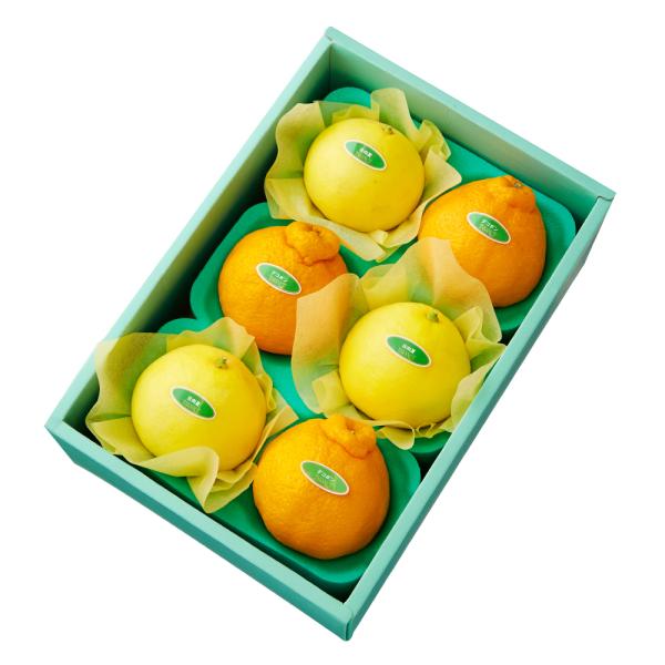 ●同梱不可商品●商品の性質上、お届けまでにお時間のかかる地域（北海道利尻郡、北海道礼文島、伊豆諸島青ヶ島村、小笠原諸島、長崎県対馬市、鹿児島県奄美市、鹿児島県大島郡、沖縄県宮古郡、沖縄県八重山郡）へのお届けはお受けできません。※東京より発送...