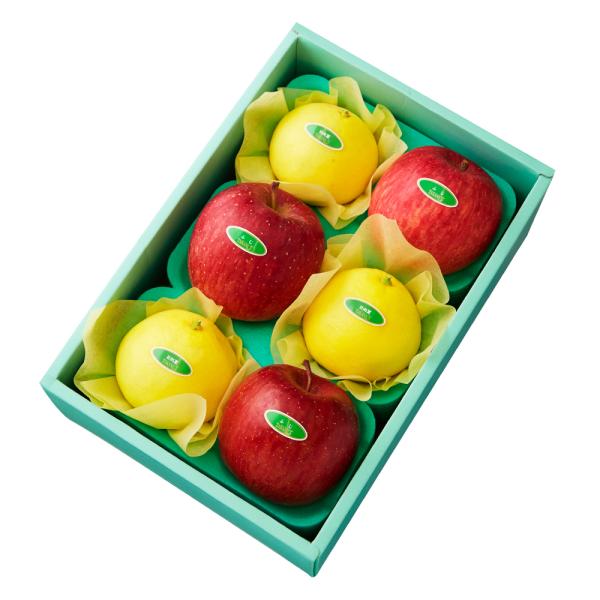 ●同梱不可商品●商品の性質上、お届けまでにお時間のかかる地域（北海道利尻郡、北海道礼文島、伊豆諸島青ヶ島村、小笠原諸島、長崎県対馬市、鹿児島県奄美市、鹿児島県大島郡、沖縄県宮古郡、沖縄県八重山郡）へのお届けはお受けできません。※東京より発送...