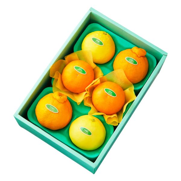 ●同梱不可商品●商品の性質上、お届けまでにお時間のかかる地域（北海道利尻郡・礼文郡、伊豆諸島青ヶ島村、小笠原諸島、島根県隠岐郡知夫村、長崎県対馬市、鹿児島県奄美市・大島郡・鹿児島郡・熊毛郡・西之表市、沖縄県石垣市・島尻郡北大東村・島尻郡久米...