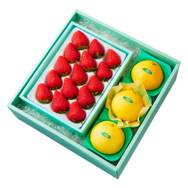 ●同梱不可商品●商品の性質上、お届けまでにお時間のかかる地域（北海道利尻郡、北海道礼文島、伊豆諸島青ヶ島村、小笠原諸島、長崎県対馬市、鹿児島県奄美市、鹿児島県大島郡、沖縄県宮古郡、沖縄県八重山郡）へのお届けはお受けできません。※東京より発送...