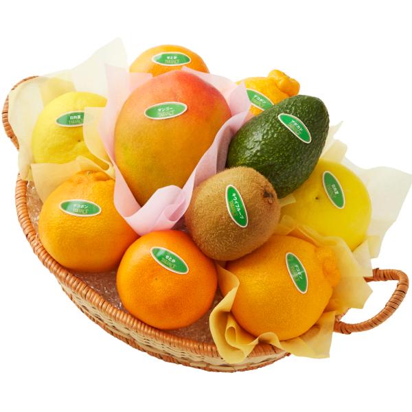 ●同梱不可商品●商品の性質上、お届けまでにお時間のかかる地域（北海道利尻郡・礼文郡、伊豆諸島青ヶ島村、小笠原諸島、島根県隠岐郡知夫村、長崎県対馬市、鹿児島県奄美市・大島郡・鹿児島郡・熊毛郡・西之表市、沖縄県石垣市・島尻郡北大東村・島尻郡久米...