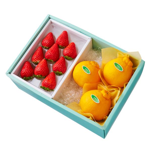 ●同梱不可商品●商品の性質上、お届けまでにお時間のかかる地域（北海道利尻郡・礼文郡、伊豆諸島青ヶ島村、小笠原諸島、島根県隠岐郡知夫村、長崎県対馬市、鹿児島県奄美市・大島郡・鹿児島郡・熊毛郡・西之表市、沖縄県石垣市・島尻郡北大東村・島尻郡久米...