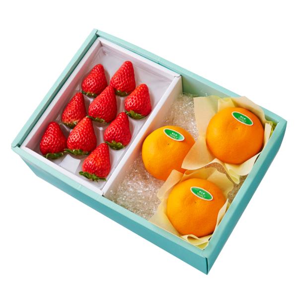 ●同梱不可商品●商品の性質上、お届けまでにお時間のかかる地域（北海道利尻郡・礼文郡、伊豆諸島青ヶ島村、小笠原諸島、島根県隠岐郡知夫村、長崎県対馬市、鹿児島県奄美市・大島郡・鹿児島郡・熊毛郡・西之表市、沖縄県石垣市・島尻郡北大東村・島尻郡久米...