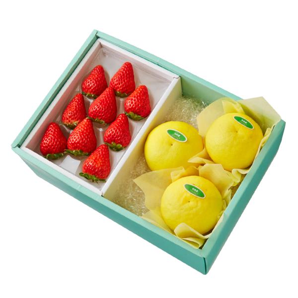 ●同梱不可商品●商品の性質上、お届けまでにお時間のかかる地域（北海道利尻郡、北海道礼文島、伊豆諸島青ヶ島村、小笠原諸島、長崎県対馬市、鹿児島県奄美市、鹿児島県大島郡、沖縄県宮古郡、沖縄県八重山郡）へのお届けはお受けできません。※東京より発送...