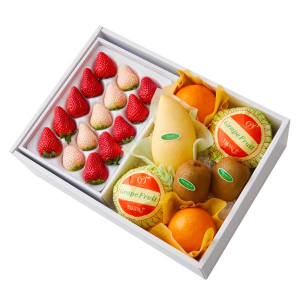 ●同梱不可商品●商品の性質上、お届けまでにお時間のかかる地域（北海道利尻郡、北海道礼文島、伊豆諸島青ヶ島村、小笠原諸島、長崎県対馬市、鹿児島県奄美市、鹿児島県大島郡、沖縄県宮古郡、沖縄県八重山郡）へのお届けはお受けできません。※東京より発送...