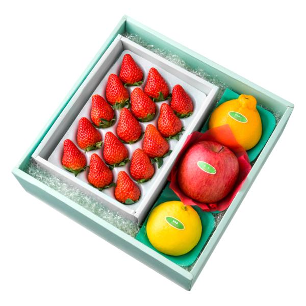 ●同梱不可商品●商品の性質上、お届けまでにお時間のかかる地域（北海道利尻郡、北海道礼文島、伊豆諸島青ヶ島村、小笠原諸島、長崎県対馬市、鹿児島県奄美市、鹿児島県大島郡、沖縄県宮古郡、沖縄県八重山郡）へのお届けはお受けできません。※東京より発送...