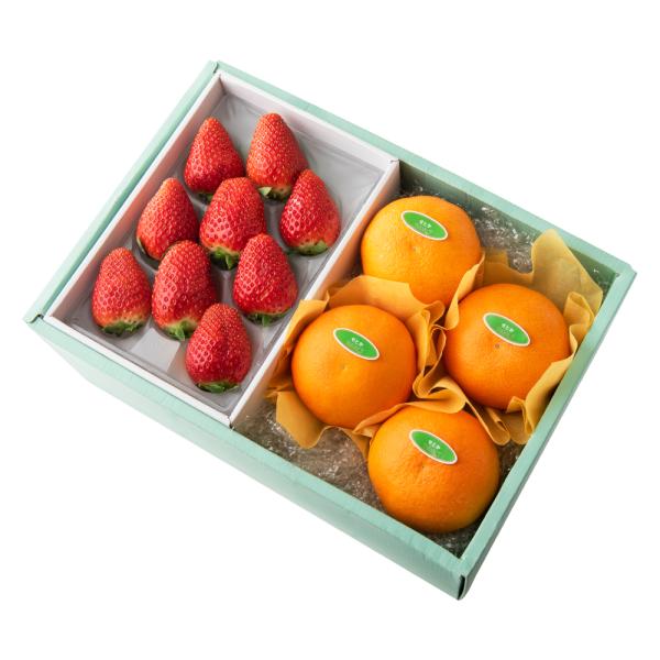 ●同梱不可商品●商品の性質上、お届けまでにお時間のかかる地域（北海道利尻郡・礼文郡、伊豆諸島青ヶ島村、小笠原諸島、島根県隠岐郡知夫村、長崎県対馬市、鹿児島県奄美市・大島郡・鹿児島郡・熊毛郡・西之表市、沖縄県石垣市・島尻郡北大東村・島尻郡久米...