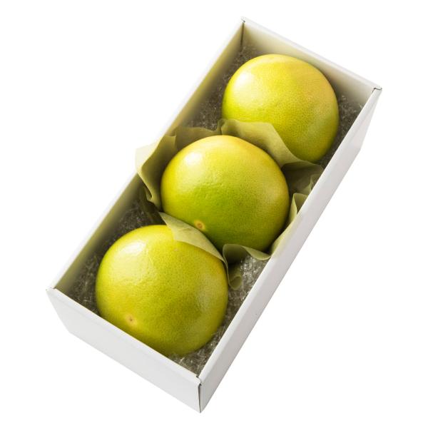 ●同梱不可商品●商品の性質上、お届けまでにお時間のかかる地域（北海道利尻郡・礼文郡、伊豆諸島青ヶ島村、小笠原諸島、島根県隠岐郡知夫村、長崎県対馬市、鹿児島県奄美市・大島郡・鹿児島郡・熊毛郡・西之表市、沖縄県石垣市・島尻郡北大東村・島尻郡久米...