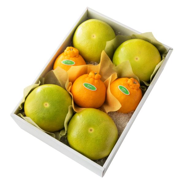 ●同梱不可商品●商品の性質上、お届けまでにお時間のかかる地域（北海道利尻郡・礼文郡、伊豆諸島青ヶ島村、小笠原諸島、島根県隠岐郡知夫村、長崎県対馬市、鹿児島県奄美市・大島郡・鹿児島郡・熊毛郡・西之表市、沖縄県石垣市・島尻郡北大東村・島尻郡久米...