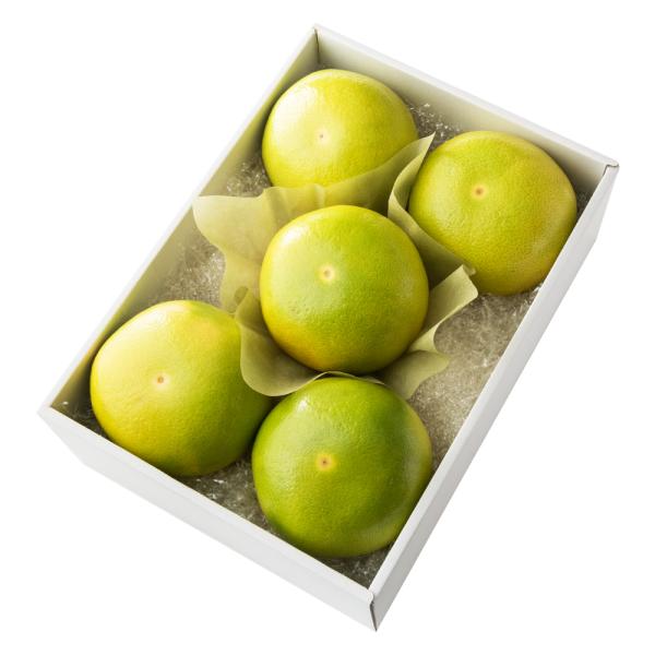 ●同梱不可商品●商品の性質上、お届けまでにお時間のかかる地域（北海道利尻郡・礼文郡、伊豆諸島青ヶ島村、小笠原諸島、島根県隠岐郡知夫村、長崎県対馬市、鹿児島県奄美市・大島郡・鹿児島郡・熊毛郡・西之表市、沖縄県石垣市・島尻郡北大東村・島尻郡久米...