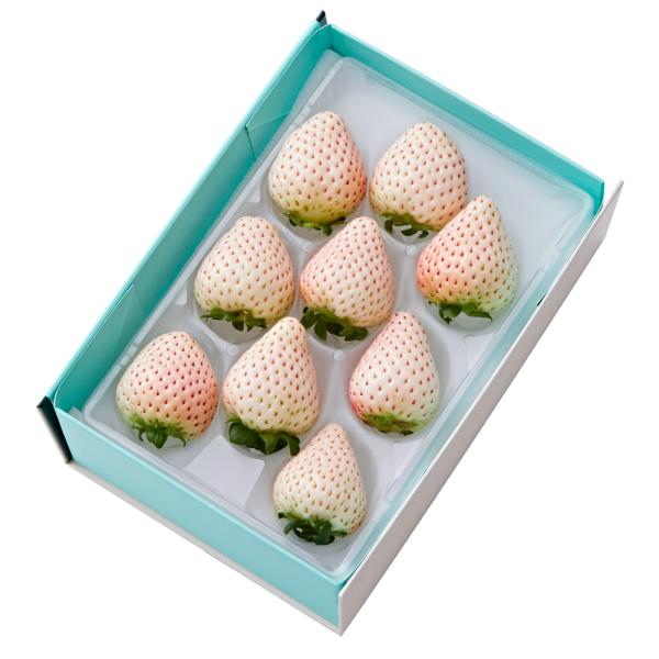 ●同梱不可商品●商品の性質上、北海道、九州、及びお届けまでにお時間のかかる地域（北海道利尻郡、北海道礼文島、伊豆諸島青ヶ島村、小笠原諸島、長崎県対馬市、鹿児島県奄美市、鹿児島県大島郡、沖縄県宮古郡、沖縄県八重山郡）へのお届けはお受けできませ...