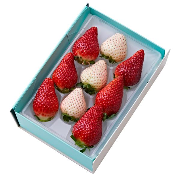 ●同梱不可商品●商品の性質上、お届けまでにお時間のかかる地域（北海道利尻郡、北海道礼文島、伊豆諸島青ヶ島村、小笠原諸島、長崎県対馬市、鹿児島県奄美市、鹿児島県大島郡、沖縄県宮古郡、沖縄県八重山郡）へのお届けはお受けできません。※東京より発送...