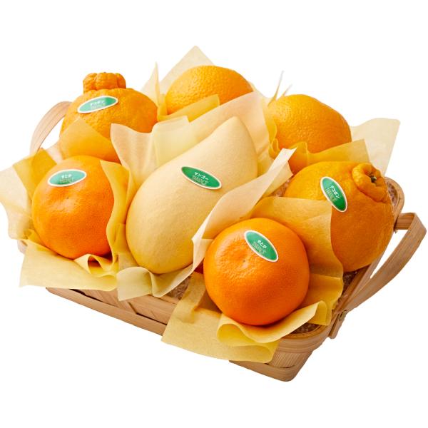 ●同梱不可商品●商品の性質上、お届けまでにお時間のかかる地域（北海道利尻郡・礼文郡、伊豆諸島青ヶ島村、小笠原諸島、島根県隠岐郡知夫村、長崎県対馬市、鹿児島県奄美市・大島郡・鹿児島郡・熊毛郡・西之表市、沖縄県石垣市・島尻郡北大東村・島尻郡久米...