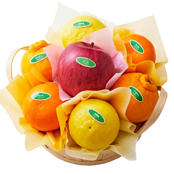 ●同梱不可商品●商品の性質上、お届けまでにお時間のかかる地域（北海道利尻郡・礼文郡、伊豆諸島青ヶ島村、小笠原諸島、島根県隠岐郡知夫村、長崎県対馬市、鹿児島県奄美市・大島郡・鹿児島郡・熊毛郡・西之表市、沖縄県石垣市・島尻郡北大東村・島尻郡久米...