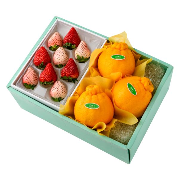 ●同梱不可商品●商品の性質上、お届けまでにお時間のかかる地域（北海道利尻郡、北海道礼文島、伊豆諸島青ヶ島村、小笠原諸島、長崎県対馬市、鹿児島県奄美市、鹿児島県大島郡、沖縄県宮古郡、沖縄県八重山郡）へのお届けはお受けできません。※東京より発送...