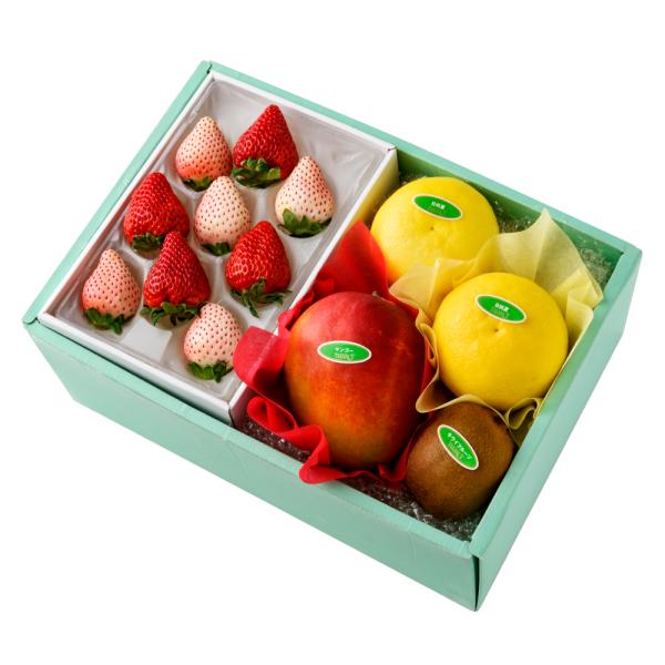 ●同梱不可商品●商品の性質上、お届けまでにお時間のかかる地域（北海道利尻郡、北海道礼文島、伊豆諸島青ヶ島村、小笠原諸島、長崎県対馬市、鹿児島県奄美市、鹿児島県大島郡、沖縄県宮古郡、沖縄県八重山郡）へのお届けはお受けできません。※東京より発送...