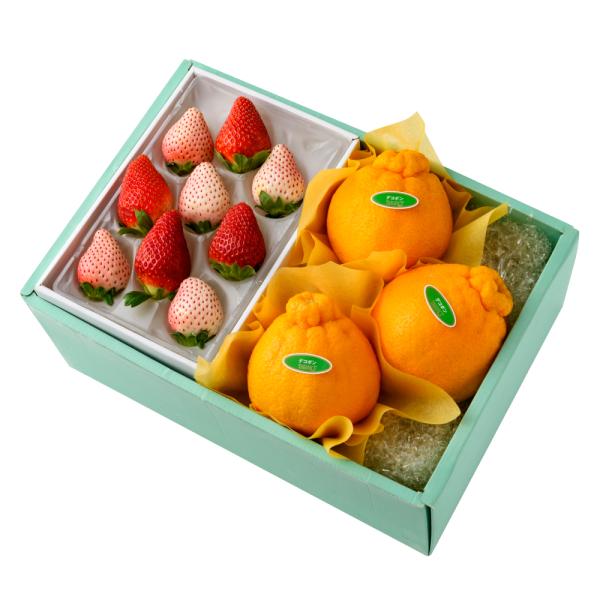 ●同梱不可商品●商品の性質上、お届けまでにお時間のかかる地域（北海道利尻郡、北海道礼文島、伊豆諸島青ヶ島村、小笠原諸島、長崎県対馬市、鹿児島県奄美市、鹿児島県大島郡、沖縄県宮古郡、沖縄県八重山郡）へのお届けはお受けできません。※東京より発送...