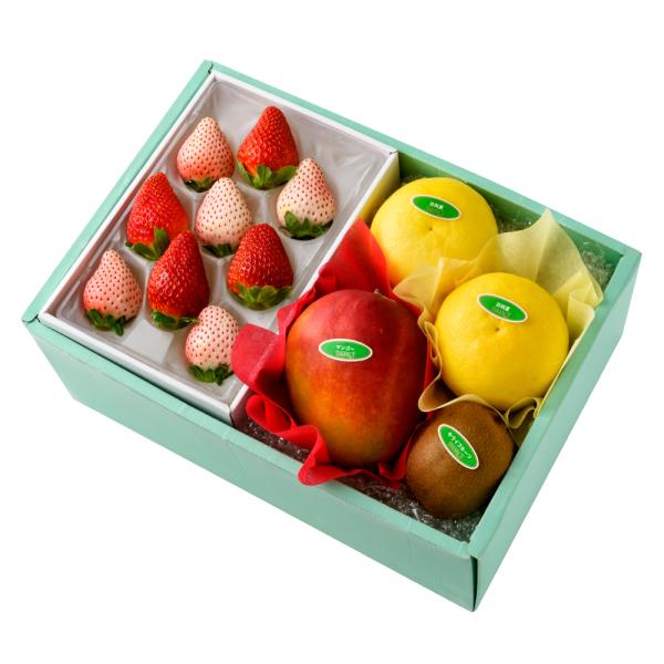 ●同梱不可商品●商品の性質上、お届けまでにお時間のかかる地域（北海道利尻郡、北海道礼文島、伊豆諸島青ヶ島村、小笠原諸島、長崎県対馬市、鹿児島県奄美市、鹿児島県大島郡、沖縄県宮古郡、沖縄県八重山郡）へのお届けはお受けできません。※東京より発送...