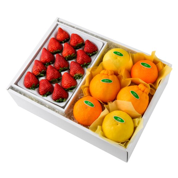 ●同梱不可商品●商品の性質上、お届けまでにお時間のかかる地域（北海道利尻郡・礼文郡、伊豆諸島青ヶ島村、小笠原諸島、島根県隠岐郡知夫村、長崎県対馬市、鹿児島県奄美市・大島郡・鹿児島郡・熊毛郡・西之表市、沖縄県石垣市・島尻郡北大東村・島尻郡久米...