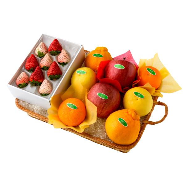 ●同梱不可商品●商品の性質上、お届けまでにお時間のかかる地域（北海道利尻郡・礼文郡、伊豆諸島青ヶ島村、小笠原諸島、島根県隠岐郡知夫村、長崎県対馬市、鹿児島県奄美市・大島郡・鹿児島郡・熊毛郡・西之表市、沖縄県石垣市・島尻郡北大東村・島尻郡久米...